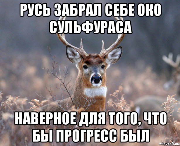 русь забрал себе око сульфураса наверное для того, что бы прогресс был, Мем   Наивный олень