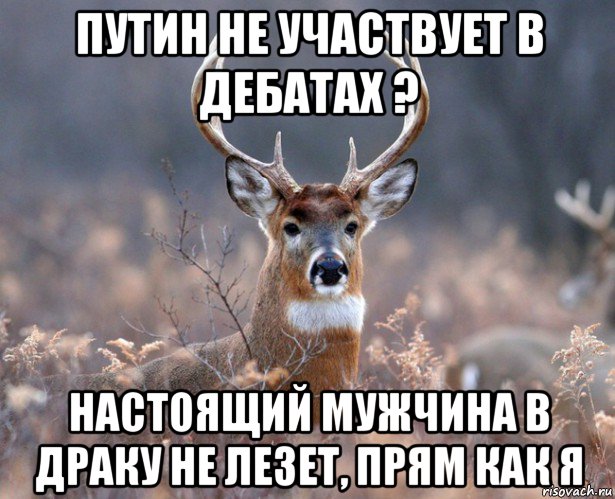 путин не участвует в дебатах ? настоящий мужчина в драку не лезет, прям как я, Мем   Наивный олень