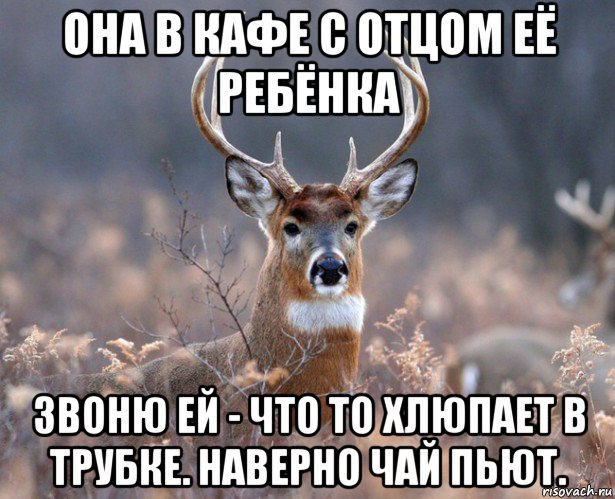 она в кафе с отцом её ребёнка звоню ей - что то хлюпает в трубке. наверно чай пьют., Мем   Наивный олень