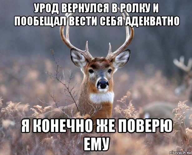 урод вернулся в ролку и пообещал вести себя адекватно я конечно же поверю ему, Мем   Наивный олень