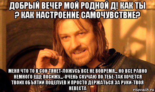 добрый вечер мой родной д! как ты ? как настроение самочувствие? меня что то в сон тянет-ложусь все не вовремя... но все равно немного еще посижу...-очень скучаю по тебе-так хочется твоих объятий поцелуев и просто держаться за руки-твоя невеста, Мем Нельзя просто так взять и (Боромир мем)