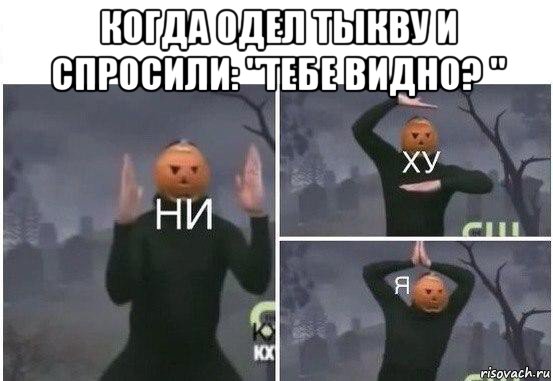 когда одел тыкву и спросили: "тебе видно? " , Мем  Ни ху Я