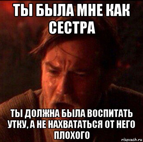 ты была мне как сестра ты должна была воспитать утку, а не нахвататься от него плохого, Мем Оби Ван Киноби