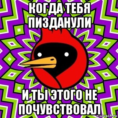 когда тебя пизданули и ты этого не почувствовал, Мем Омская птица