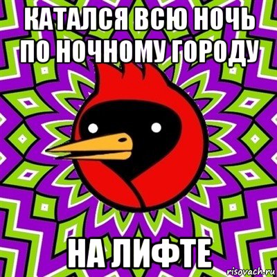 катался всю ночь по ночному городу на лифте, Мем Омская птица