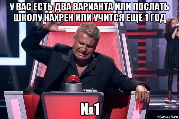 у вас есть два варианта или послать школу нахрен или учится ещё 1 год №1, Мем   Отчаянный Агутин