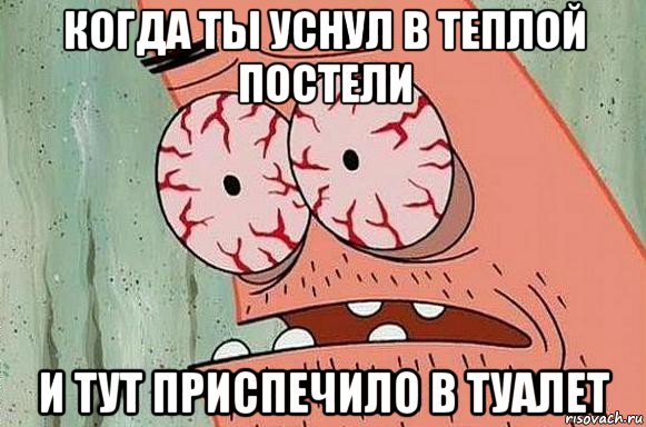 когда ты уснул в теплой постели и тут приспечило в туалет, Мем  Патрик в ужасе