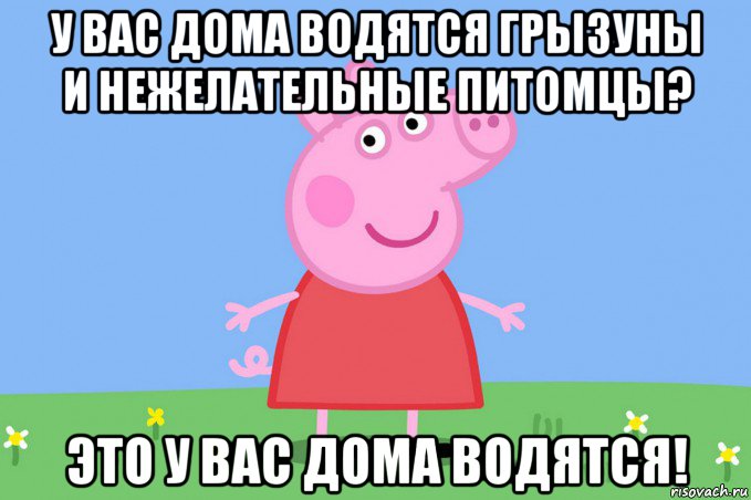 у вас дома водятся грызуны и нежелательные питомцы? это у вас дома водятся!, Мем Пеппа