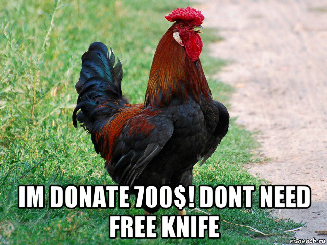  im donate 700$! dont need free knife