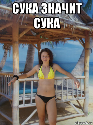 сука значит сука , Мем PHOTOSHOP MASTER 90LVL
