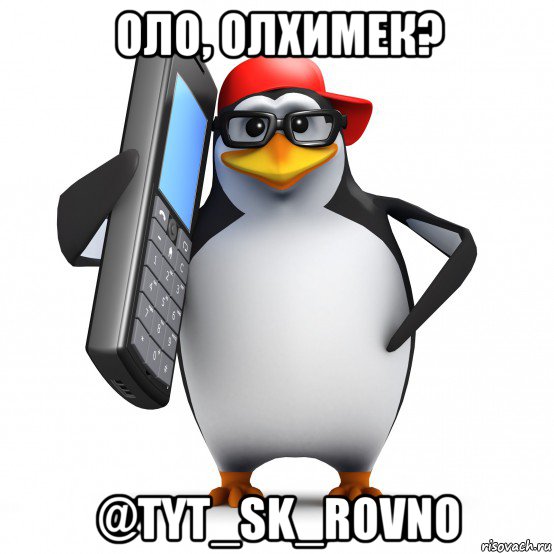 оло, олхимек? @tyt_sk_rovno, Мем   Пингвин звонит