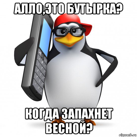 алло,это бутырка? когда запахнет весной?, Мем   Пингвин звонит