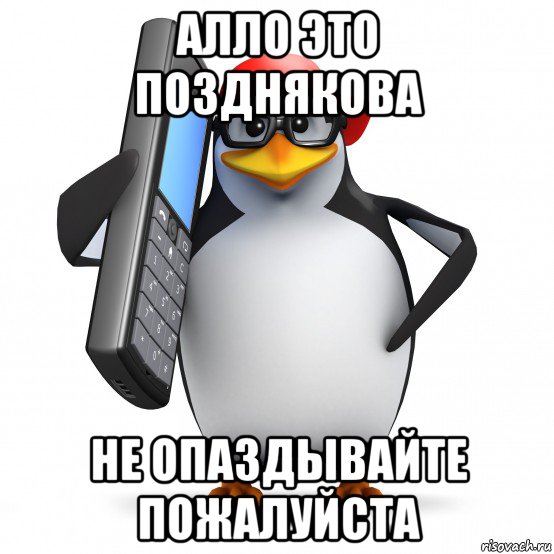 алло это позднякова не опаздывайте пожалуйста, Мем   Пингвин звонит