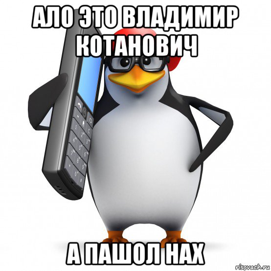 ало это владимир котанович а пашол нах, Мем   Пингвин звонит