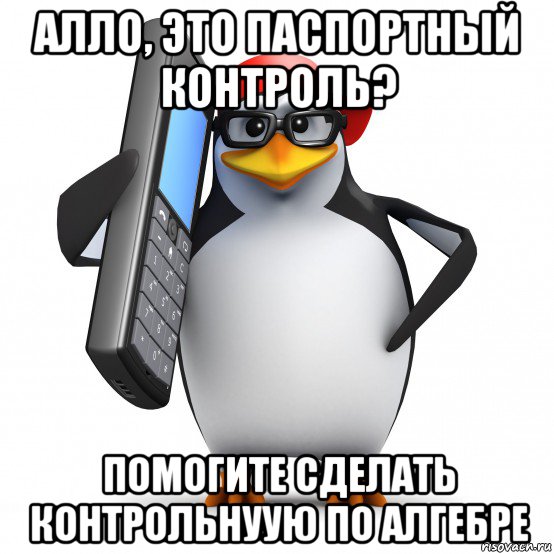 алло, это паспортный контроль? помогите сделать контрольнуую по алгебре, Мем   Пингвин звонит