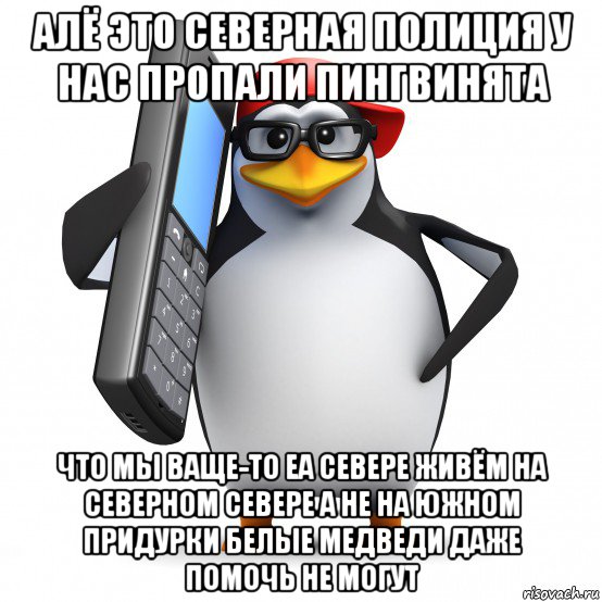 алё это северная полиция у нас пропали пингвинята что мы ваще-то еа севере живём на северном севере а не на южном придурки белые медведи даже помочь не могут, Мем   Пингвин звонит