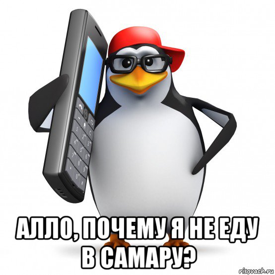  алло, почему я не еду в самару?, Мем   Пингвин звонит