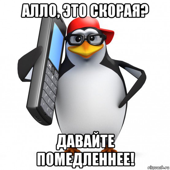 алло, это скорая? давайте помедленнее!, Мем   Пингвин звонит