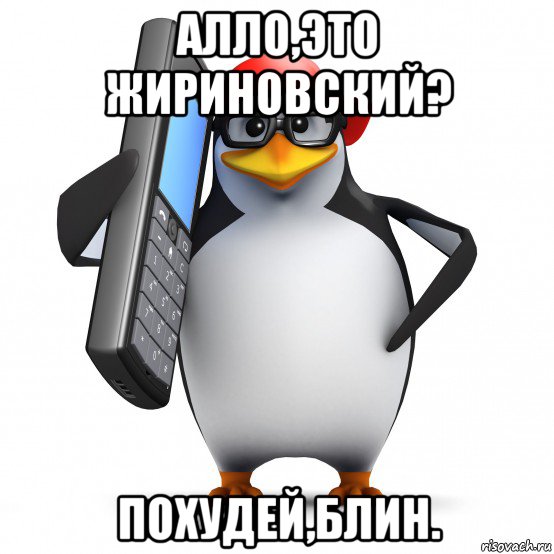 алло,это жириновский? похудей,блин., Мем   Пингвин звонит