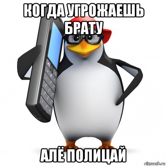 когда угрожаешь брату алё полицай, Мем   Пингвин звонит