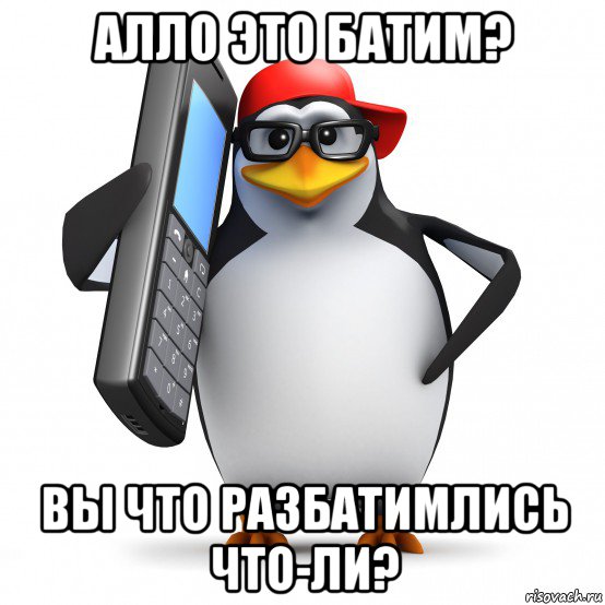 алло это батим? вы что разбатимлись что-ли?, Мем   Пингвин звонит