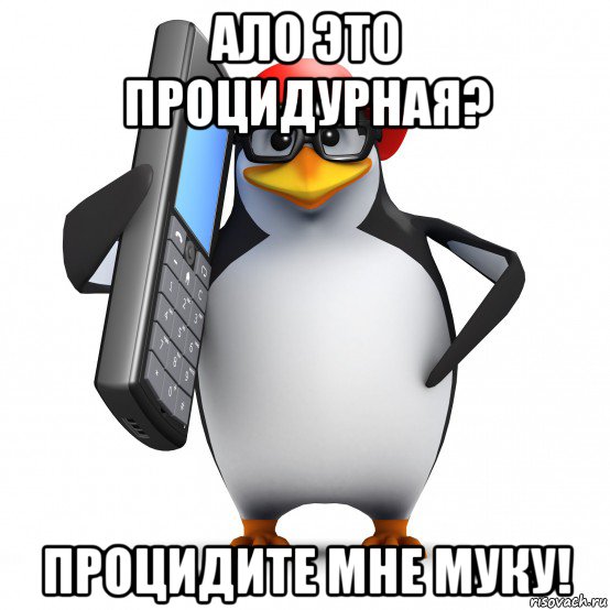 ало это процидурная? процидите мне муку!, Мем   Пингвин звонит