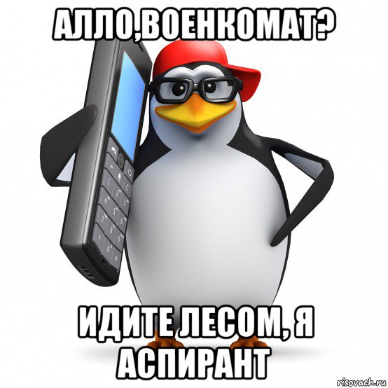 алло,военкомат? идите лесом, я аспирант, Мем   Пингвин звонит