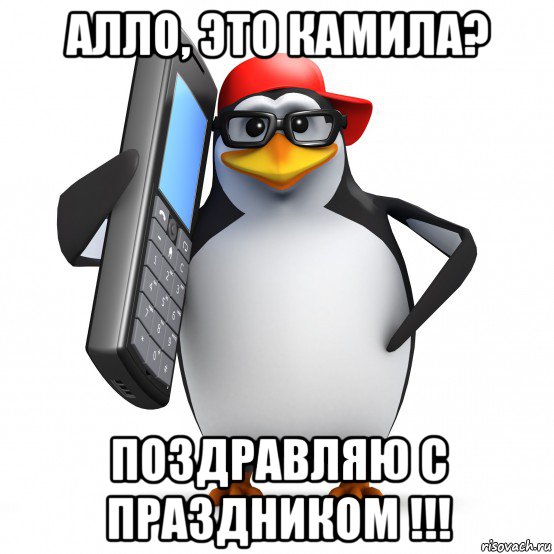 алло, это камила? поздравляю с праздником !!!, Мем   Пингвин звонит