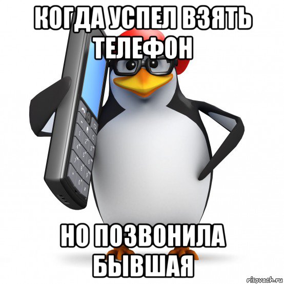 когда успел взять телефон но позвонила бывшая, Мем   Пингвин звонит