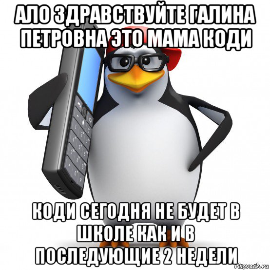 ало здравствуйте галина петровна это мама коди коди сегодня не будет в школе как и в последующие 2 недели, Мем   Пингвин звонит