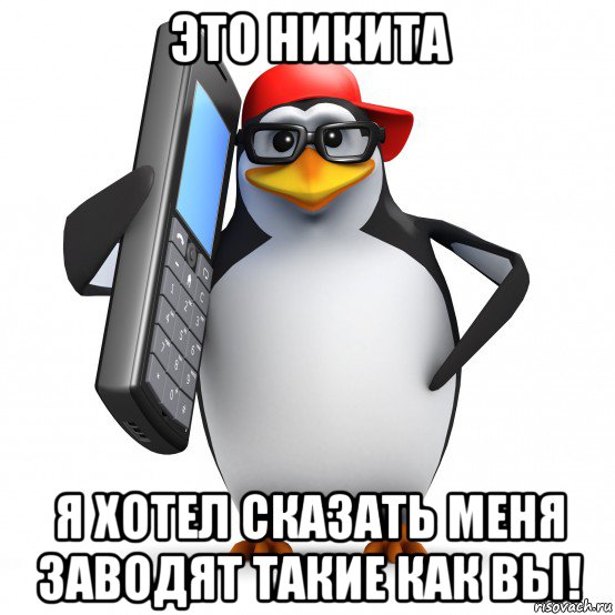 это никита я хотел сказать меня заводят такие как вы!, Мем   Пингвин звонит