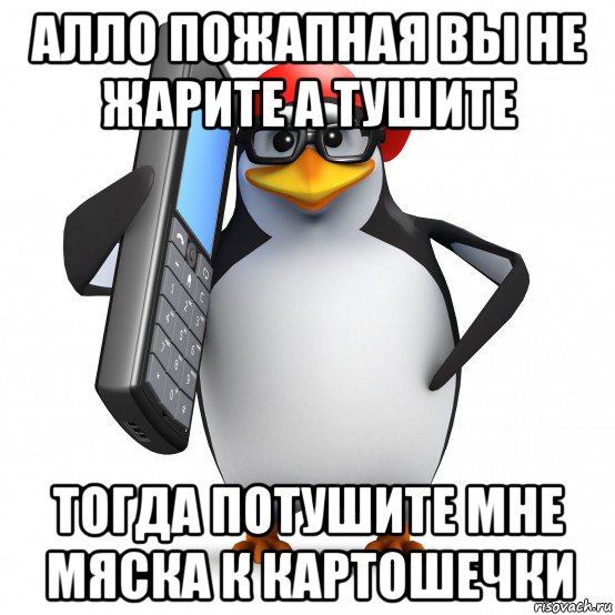 алло пожапная вы не жарите а тушите тогда потушите мне мяска к картошечки, Мем   Пингвин звонит