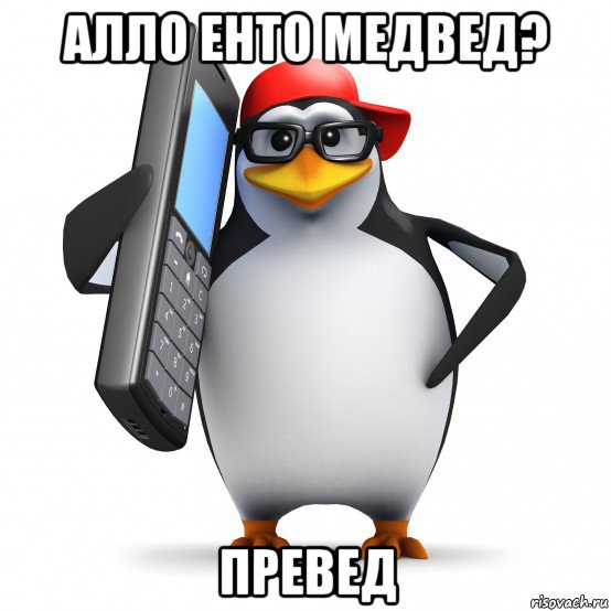 алло енто медвед? превед, Мем   Пингвин звонит