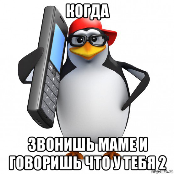 когда звонишь маме и говоришь что у тебя 2, Мем   Пингвин звонит