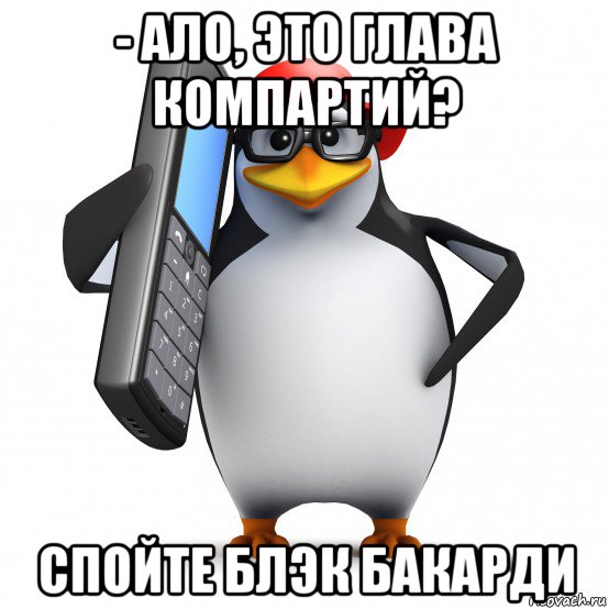 - ало, это глава компартий? спойте блэк бакарди, Мем   Пингвин звонит