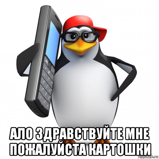  ало здравствуйте мне пожалуйста картошки, Мем   Пингвин звонит