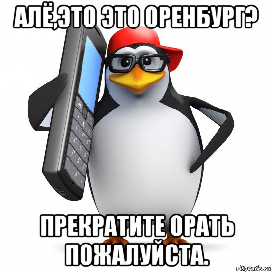 алё,это это оренбург? прекратите орать пожалуйста., Мем   Пингвин звонит