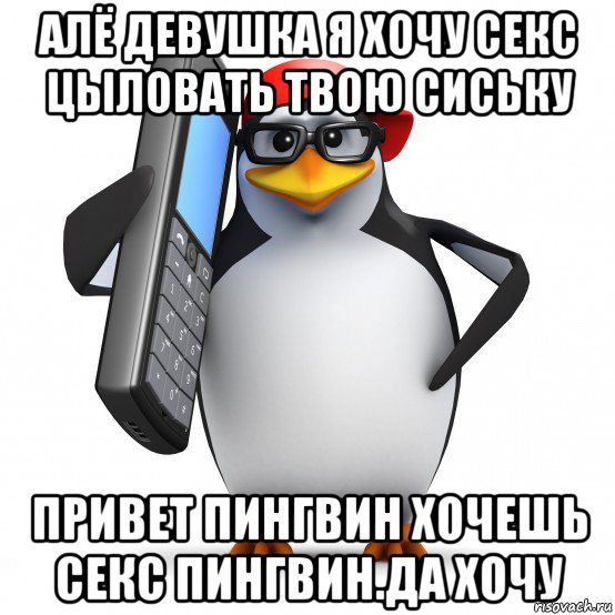 алё девушка я хочу секс цыловать твою сиську привет пингвин хочешь секс пингвин.да хочу, Мем   Пингвин звонит