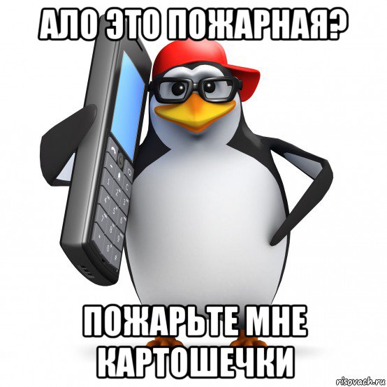 ало это пожарная? пожарьте мне картошечки, Мем   Пингвин звонит