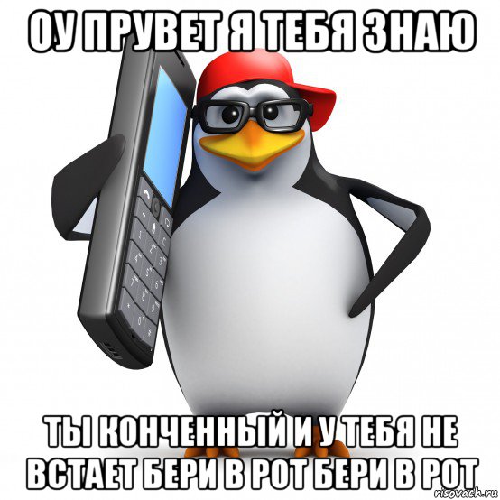 оу прувет я тебя знаю ты конченный и у тебя не встает бери в рот бери в рот, Мем   Пингвин звонит