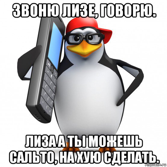 звоню лизе, говорю. лиза а ты можешь сальто, на хую сделать., Мем   Пингвин звонит