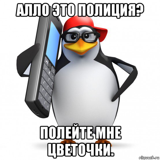 алло это полиция? полейте мне цветочки., Мем   Пингвин звонит