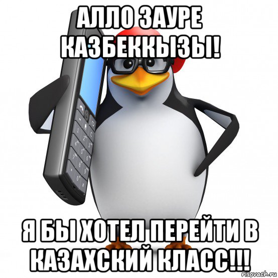 алло зауре казбеккызы! я бы хотел перейти в казахский класс!!!, Мем   Пингвин звонит