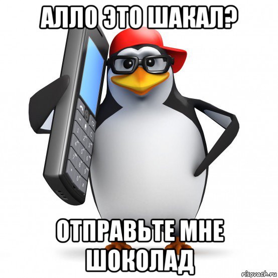 алло это шакал? отправьте мне шоколад, Мем   Пингвин звонит