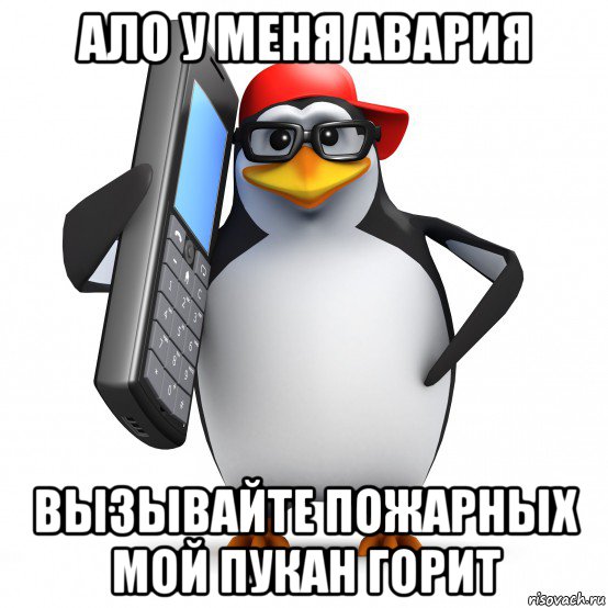 ало у меня авария вызывайте пожарных мой пукан горит, Мем   Пингвин звонит