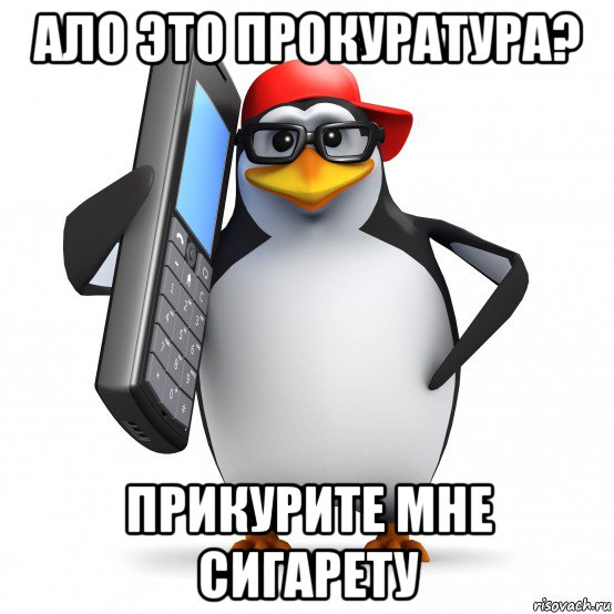 ало это прокуратура? прикурите мне сигарету, Мем   Пингвин звонит