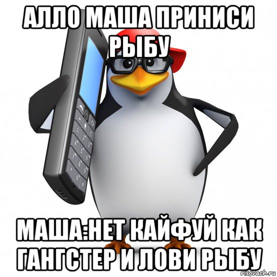 алло маша приниси рыбу маша:нет кайфуй как гангстер и лови рыбу, Мем   Пингвин звонит