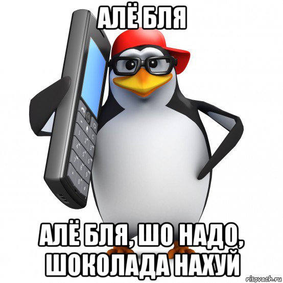 алё бля алё бля, шо надо, шоколада нахуй, Мем   Пингвин звонит