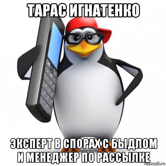 тарас игнатенко эксперт в спорах с быдлом и менеджер по рассылке, Мем   Пингвин звонит