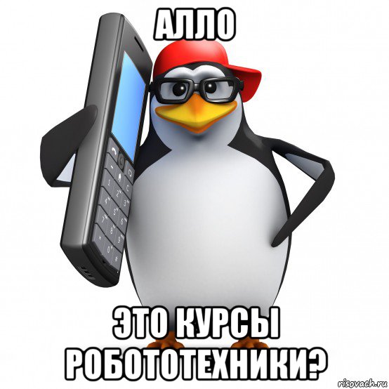 алло это курсы робототехники?, Мем   Пингвин звонит